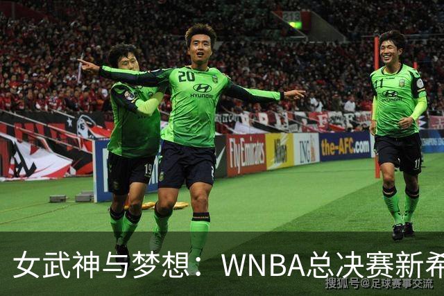 女武神与梦想：WNBA总决赛新希望的较量